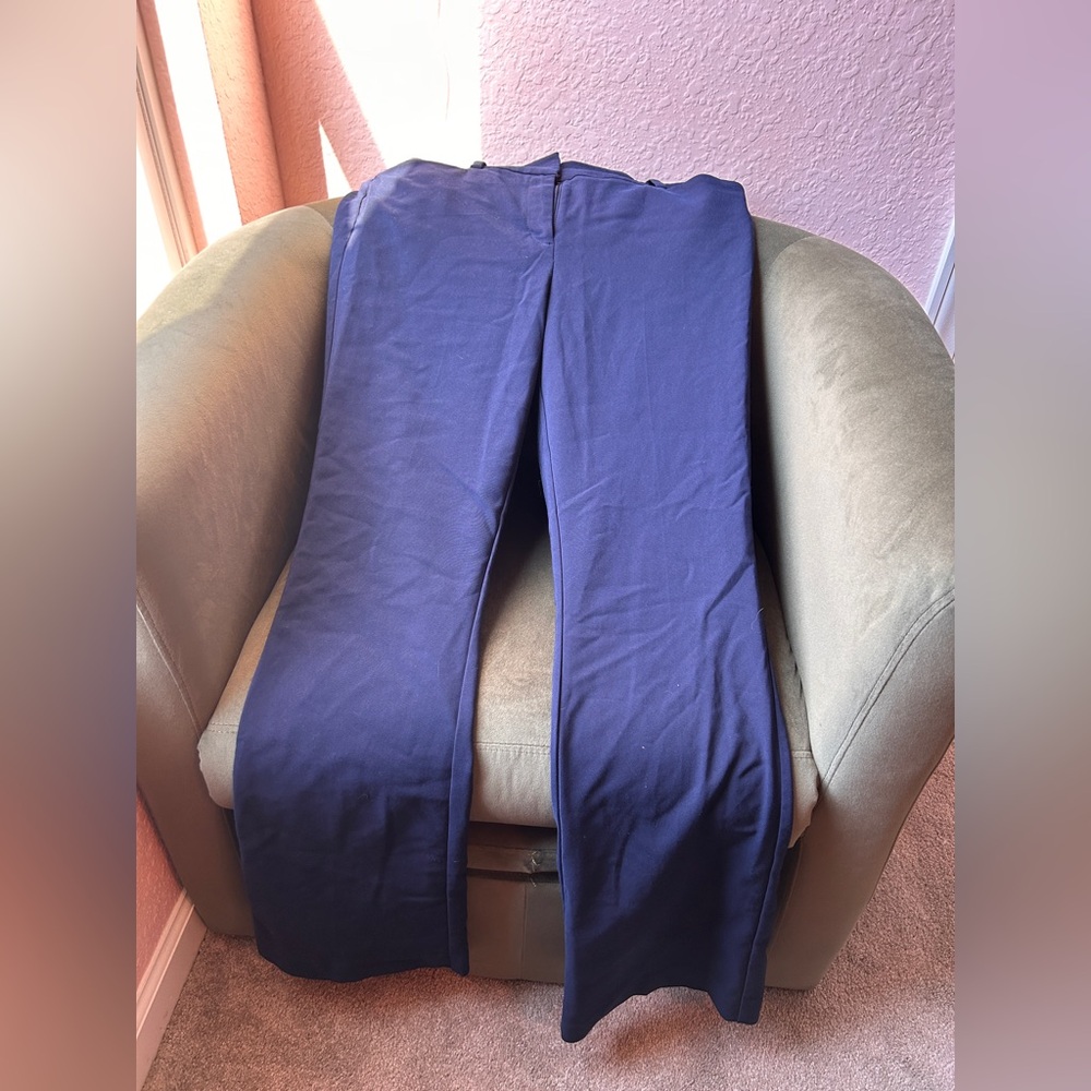 Stylish Blue Slacks